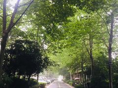 -思念果岭悦温泉