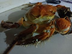 -麦当劳(酒仙桥路店)