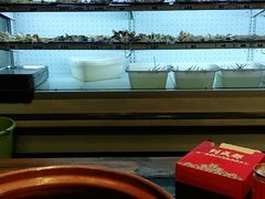 -镇江龙·火锅串串(武侯祠店)