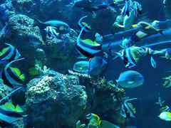 -成都浩海立方海洋公园