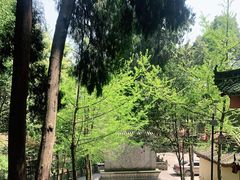 -都江堰普照寺