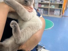 -博特宠物医院24h犬猫全科.骨科·异宠