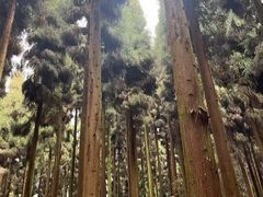 -海窝子古镇