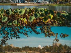 -上海植物园-4号门售票处