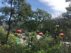 -南窖乡水峪村山情农家
