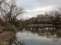 -新江湾城公园