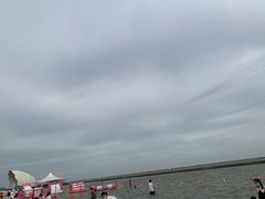 -碧海金沙