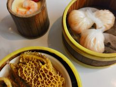 -东方早茶 海鲜•青岛菜(国信体育中心店)