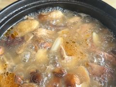 -马帮菜馆·美味野生菌