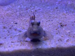 -上海海洋水族馆