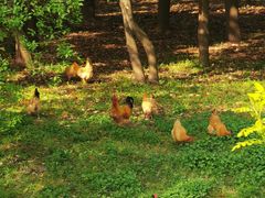 -蜀冈西峰生态公园