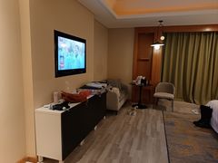 -成都明宇丽雅饭店