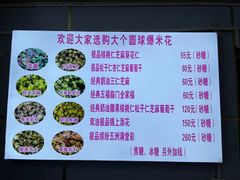 -正宗老杨特色爆米花(四棉店)