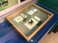 -上海昆虫博物馆