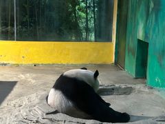 -杭州野生动物世界