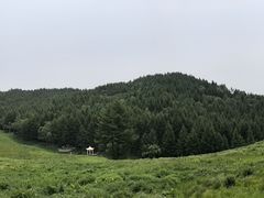 -驼梁风景区
