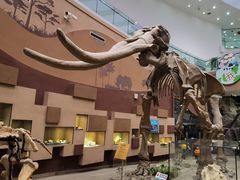 -陕西自然博物馆