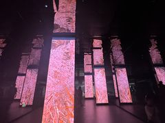 -中国湿地博物馆