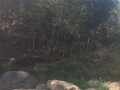 -雅鲁激流探险漂流