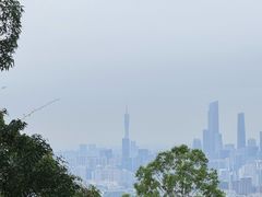 -火炉山森林公园