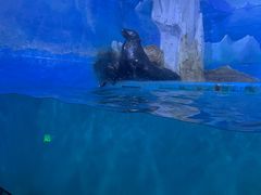 -多彩贵州城极地海洋世界