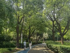 -苏州河梦清园环保主题公园