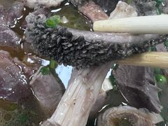 -正宗阳山牛杂(东城店)