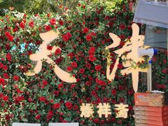 -天津意大利风情旅游区