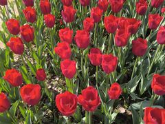 -玄武湖景区-情侣园游乐场