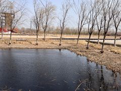 -永定河休闲森林公园