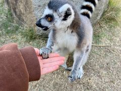 -泉州海丝野生动物世界