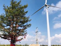 -塞罕坝国家级自然保护区