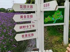 -紫颐香薰山谷景区