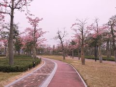 -芒洲湿地公园