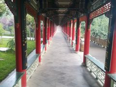 -兰山公园