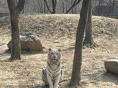 -常州淹城野生动物世界