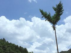 -老界岭旅游度假区
