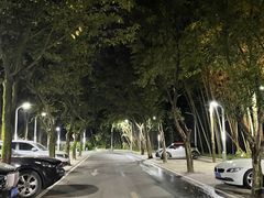-南山植物园