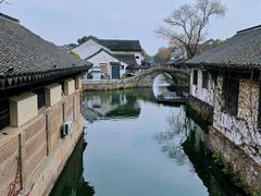 -鲁镇