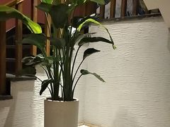 -翼精致料理(昆山旗舰店)