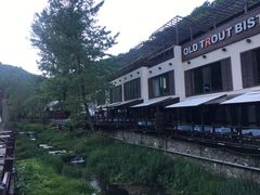 -Local泰莲庭(虹鳟鱼店)