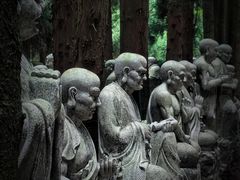 -武陵山森林公园