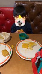 -北京科学中心儿童乐园