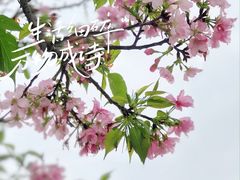 -宝墨园景区