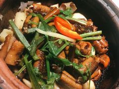 啫啫黄鳝煲-大榕树下顺德菜(融创茂店)