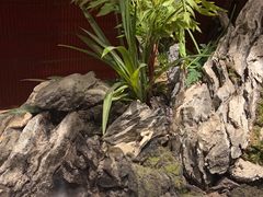 -牛村来人潮汕牛肉火锅(西单店)