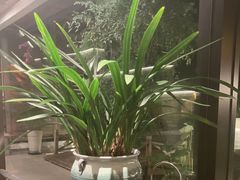 -花锦堂·隐庐
