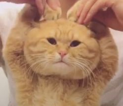 -范叔叔儿童摄影生活馆(芝麻开门欢颜店)