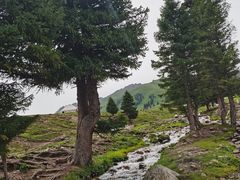 -新疆那拉提国家旅游度假区