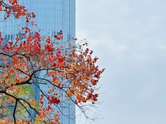 -艾溪湖湿地公园